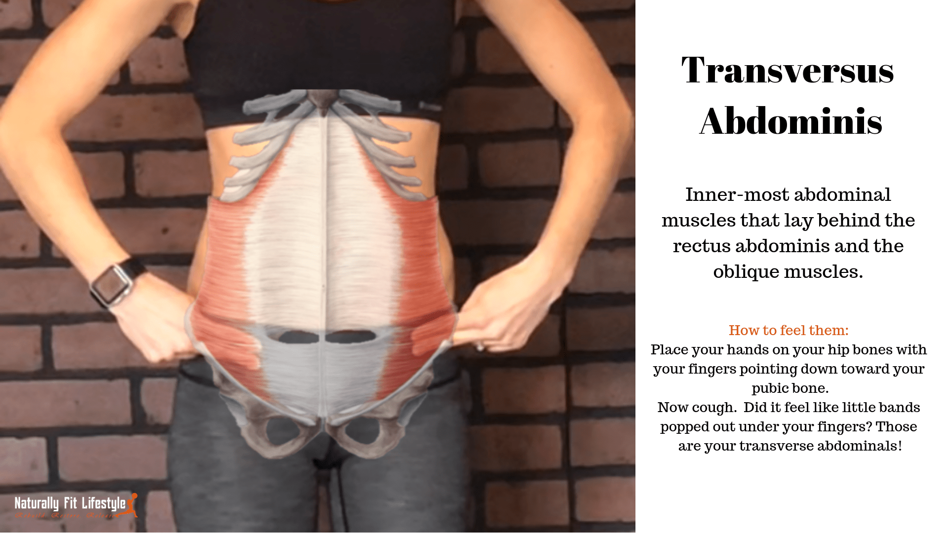 Diastasis Recti: What Is It And What To Do About It ⋆ Naturally