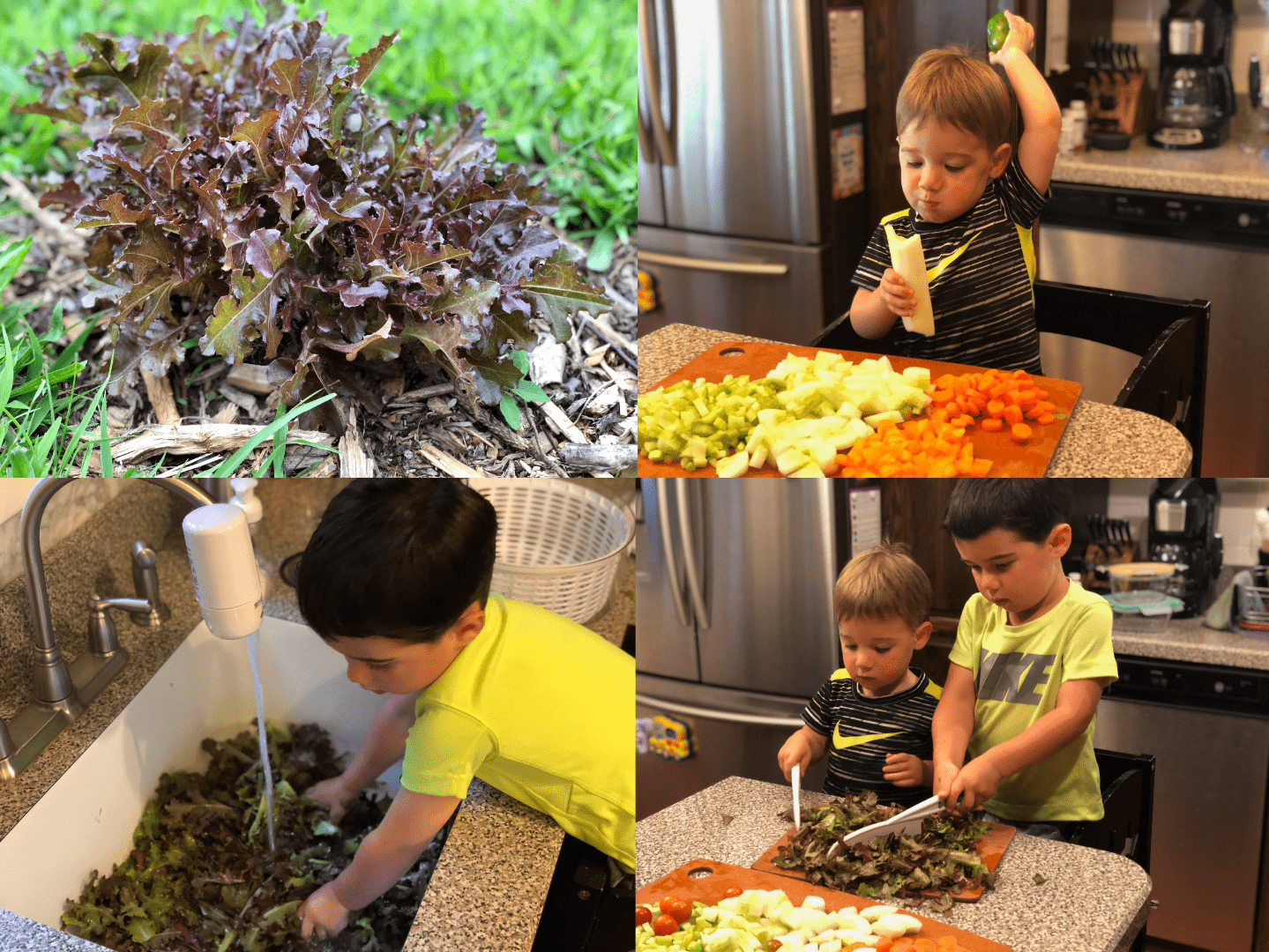 Boys prepairing lettuce:salad
